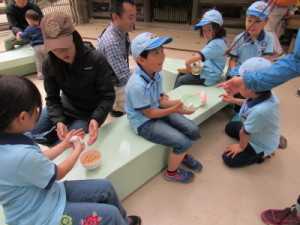 小動物と触れ合うＢＶＳ