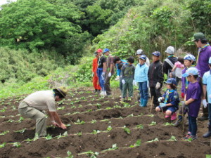 苗の植え方を説明するビーバー隊長