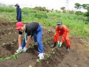 ＶＳも楽しんで苗植えに参加！
