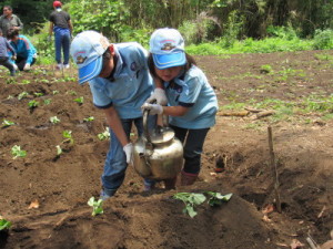 美味しいお芋ができますように！