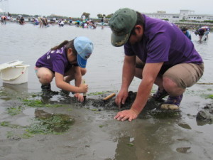 あさり、見つかるかな？
