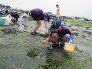 あさり、見つけたよ！