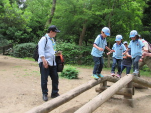 丸太を渡るＢＶＳたち