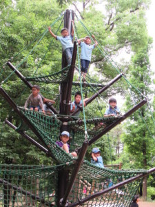 ＢＶＳツリーの完成！