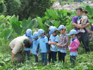 草取りの説明を真剣に聞くスカウトたち