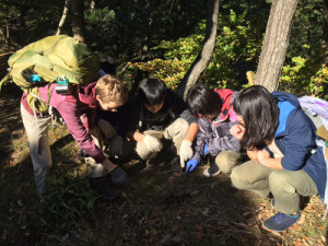 生き物のフンを見つけ、その動物が何を食べたかを観察。