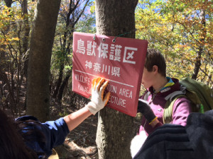 補修（その２）