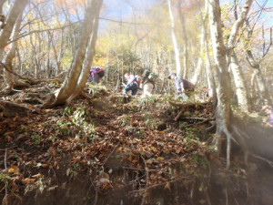 沢の上部はかなりの急斜面が続きます