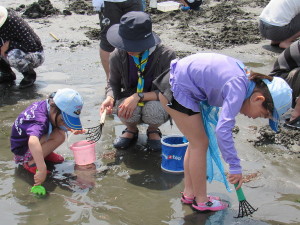 潮干狩りの様子２