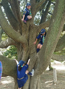 休憩時間は木登りでリフレッシュ
