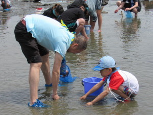 潮干狩りの様子３