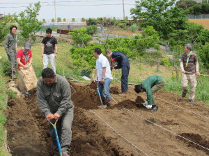 畝作りの様子１