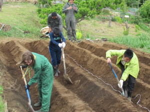 畝作りの様子２