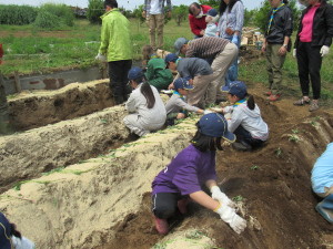 苗植え（ＣＳ）