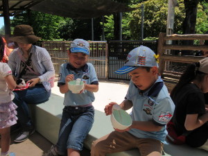 ハツカネズミは苦手かな？