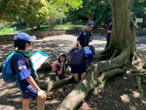 ポイントラリーの様子２