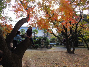 紅葉とスカウトたち