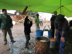 ビーバースカウト