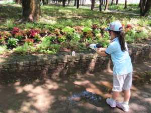 妖怪カードを倒す様子