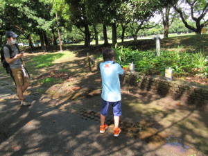 恐竜カードを倒す様子