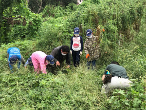 草取りの様子１