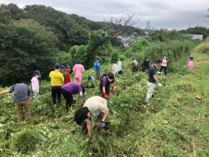 草取りの様子３