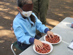 １０個「ドングリ掴み」