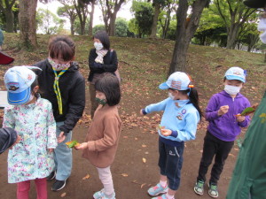 １０枚「１０種類の葉っぱ集め」