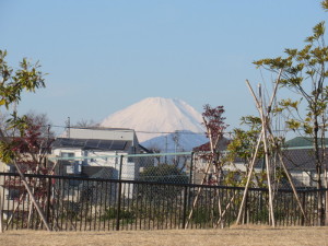 花月園公園から見た富士山
