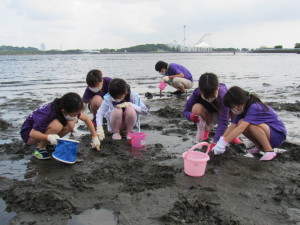 潮干狩りの様子２