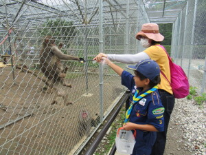 高宕山自然動物園にて猿に餌やり