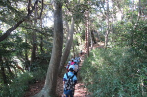 隊長から離れるなよ！