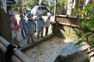 （葛原岡神社）「魔去ル石」に盃をぶつけよう！