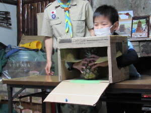 ⑤触覚（箱の中身は何かな？）