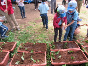 水やり（ビーバースカウト）