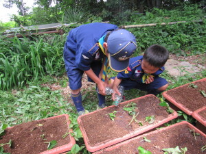 水やり（カブスカウト）