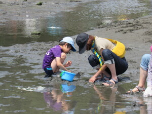 潮干狩りの様子１