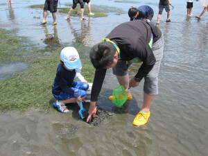 潮干狩りの様子３