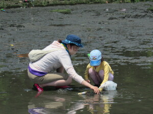 潮干狩りの様子４