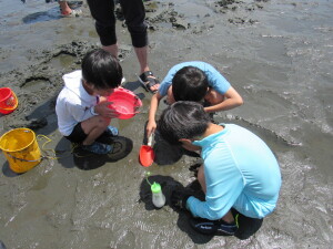 潮干狩りの様子５