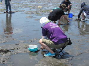 潮干狩りの様子６