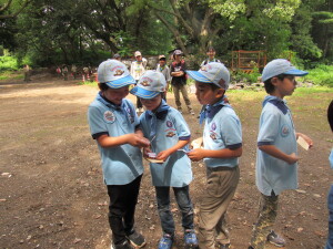 どんな問題だった？