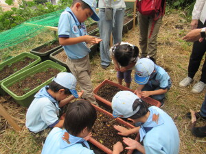 種まきの様子