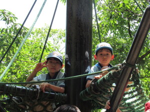 「紅葉の頃松幹まわり」