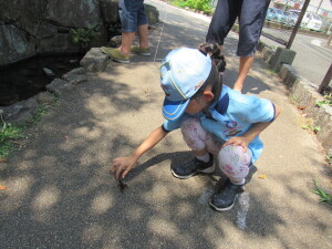 捕まえられるかな？