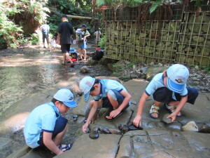 ダム作りをするスカウトたち