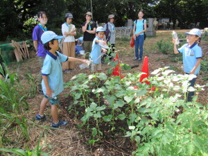 キャンプ準備をする前にまずは水やり