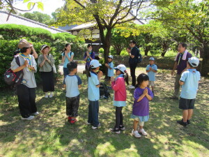 キャンプファイヤで行うゲーム紹介