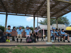 こぶたのレース見学