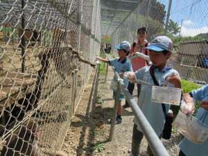 猿に餌やり体験（高宕山自然動物園にて）